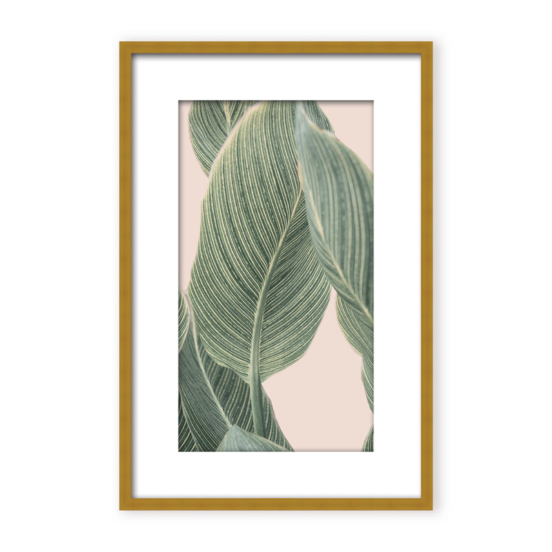 Coastal Retreat Calla Leaf by  - Picture Frame Graphic Art on Paper, 36" H x 24" W x 1.125" D, Framed Matted Print, Beige