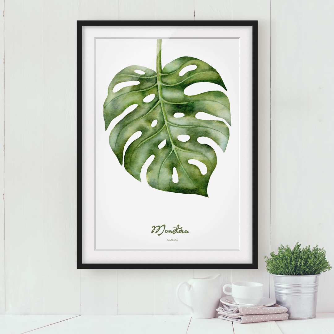 Gerahmtes Papierbild Aquarell Botanik Monstera