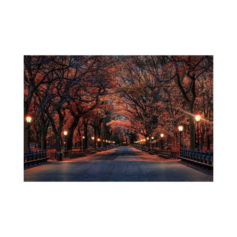 Central Park Fall by David Gardiner - Wrapped Canvas Gallery-Wrapped Canvas Giclée, 20.32 cm H x 30.48 cm W