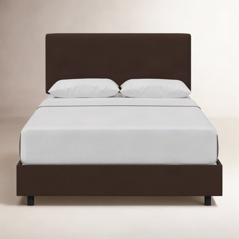 Lit tapissier Eisley, Très grand, Velours chocolat classique