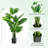 60'' Faux Monstera Deliciosa Tree in Cement Pot