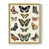 Doré