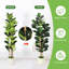 Faux Plant-1042573025