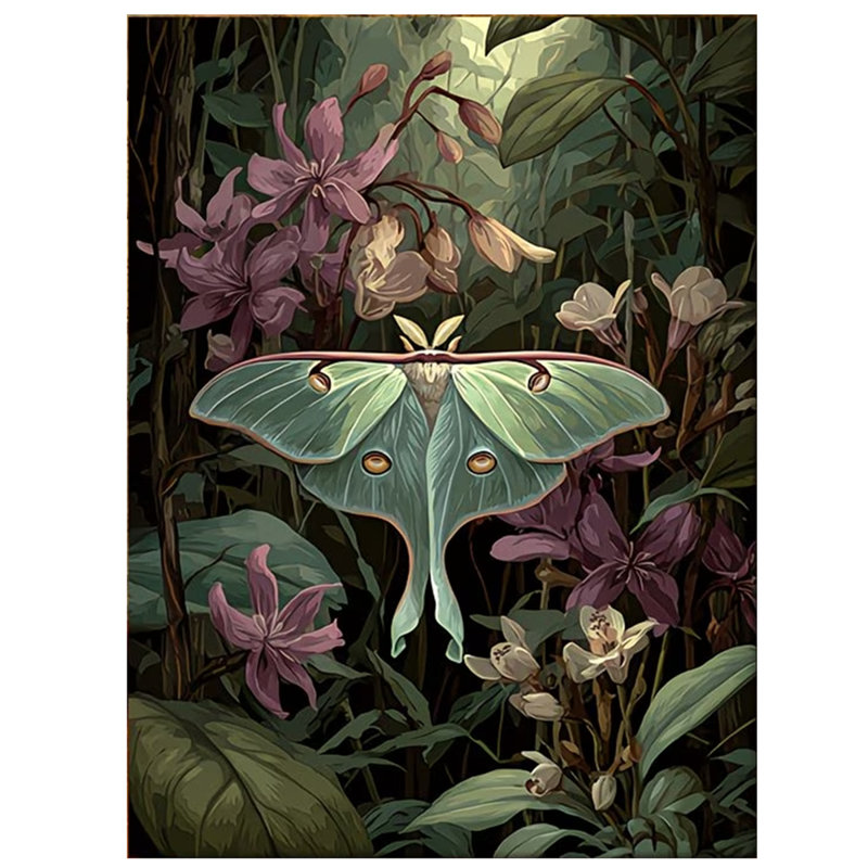 Wrapped Canvas Print, 60cm H x 40cm W