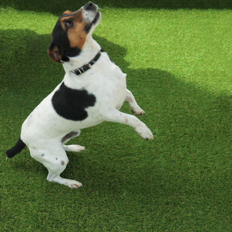 Bridgete 30mm Pet-Friendly Artificial Grass, Plush Fake Grass-2m(6'6") X 4m(13'1")-8m²