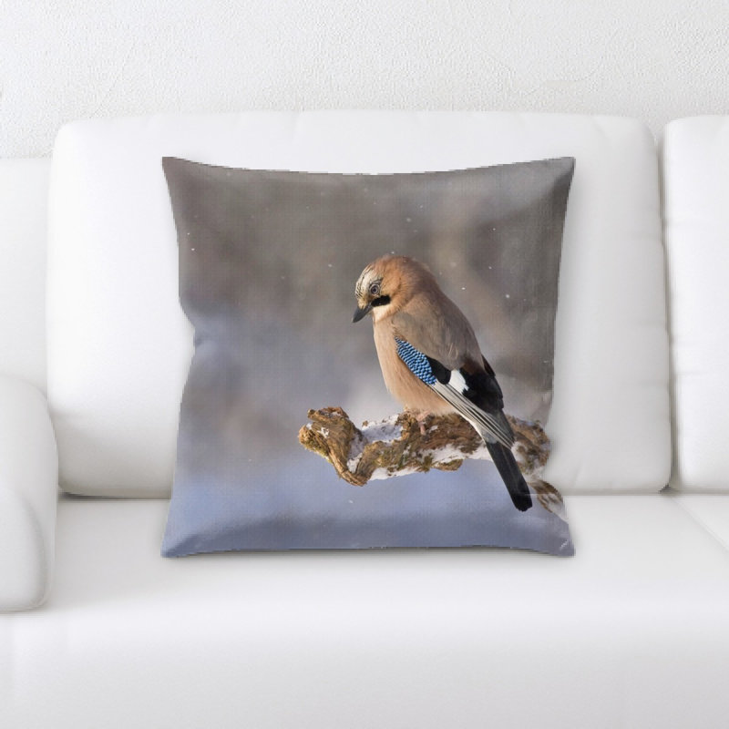 Coussin en jeté jay