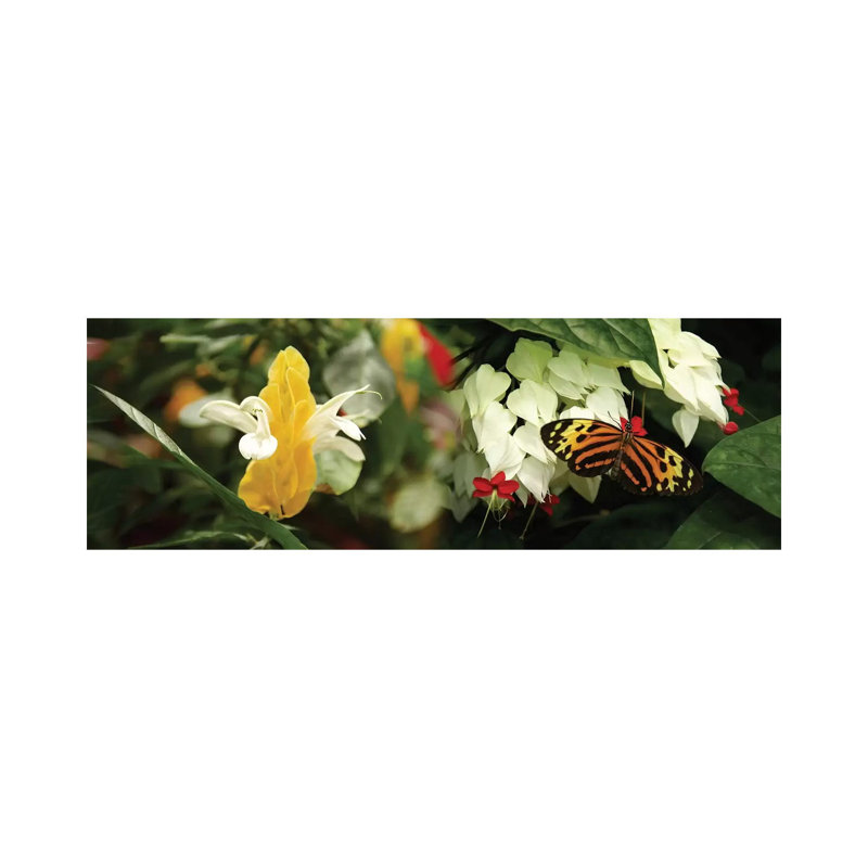 Butterflies Pollinating Flowers - Wrapped Canvas Panoramic Print, 30.48 cm H x 91.44 cm W x 1.91 cm D