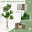180cm Plant