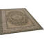 Oriental Area Rug in Green/Brown