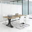 Roomy Workstation,Classic Computer Desk,Luxury Executive Desk