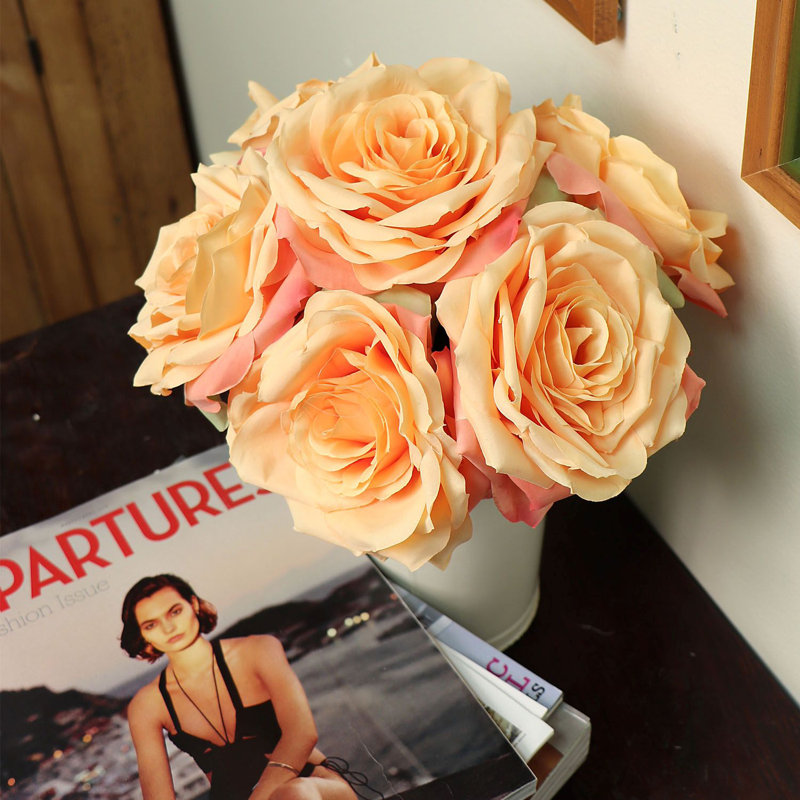 Roses Stem, Apricot