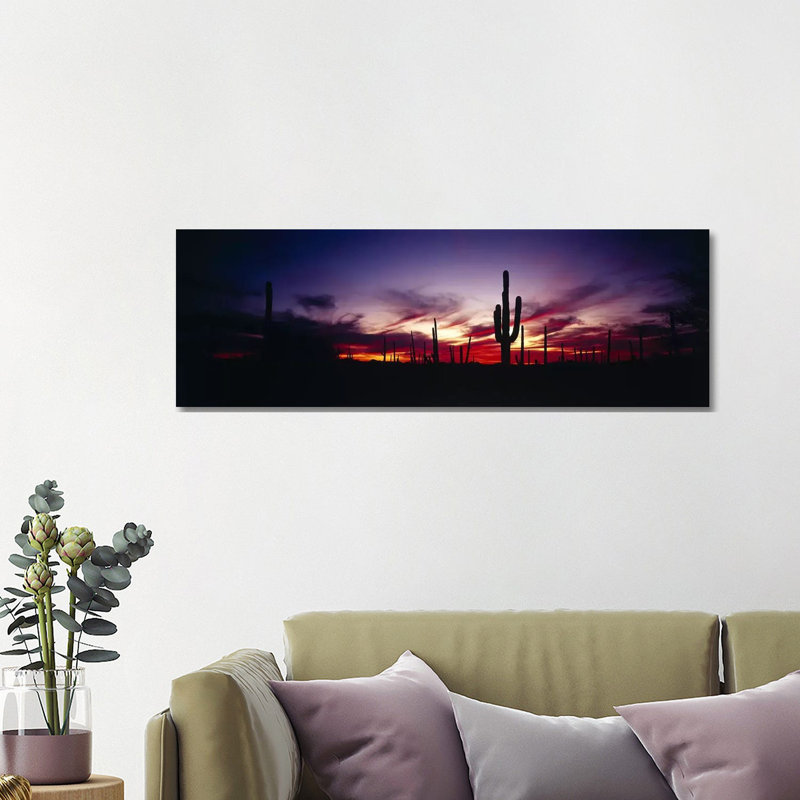 Brilliant Sunset, Saguaro National Park, Pima County, Arizona, USA 1 Piece Wrapped Canvas Panoramic Wall Art