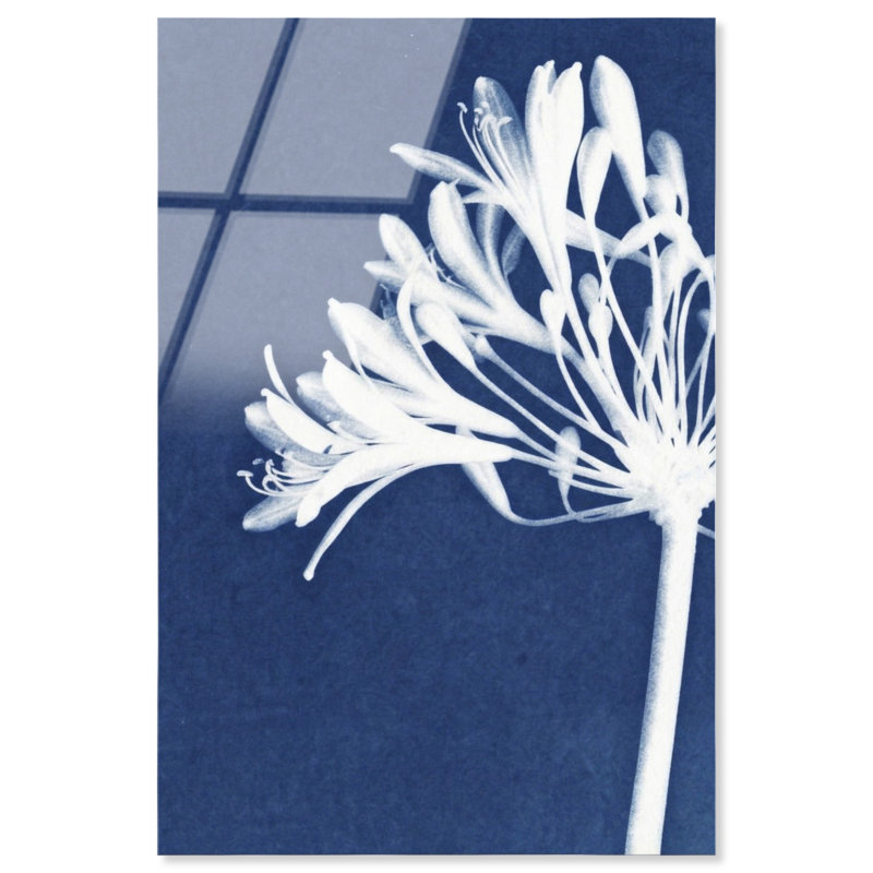 Cyan Bloom Print by Oliver Gal, 36"H x 54"W, High-Gloss Acrylic Print