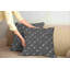 Housse de coussin Ambesonne-57226719