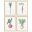 "Aquarelle, œuvre de légumes, carotte, radis, betterave et daïkon", 4 pièces-101520239-101520241