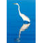 «Mccutchen No Regret Great Egret in Blue Water», impression sur toile tendue-1902772917
