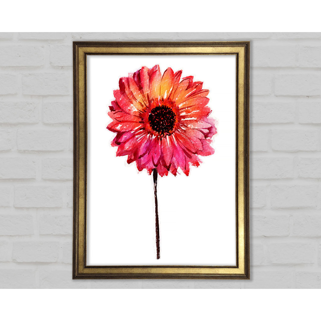 Gerbera Pinks - Druck