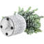22.60 cm Artificial Eucalyptus Plant In Pot