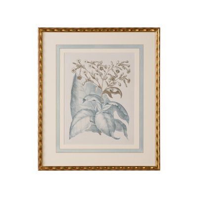 Besler Botanicals in Willow Blue I