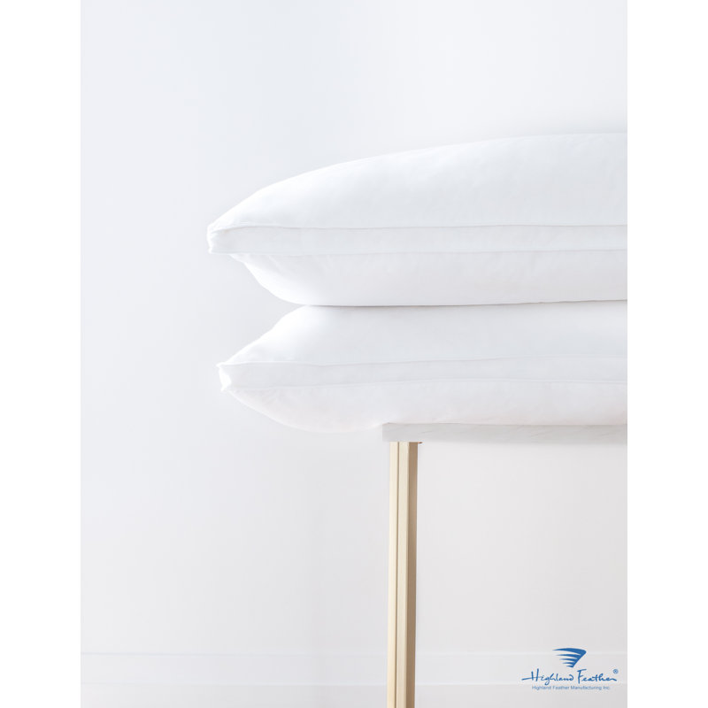 Duvet de canard blanc Downtouch 550, Standard