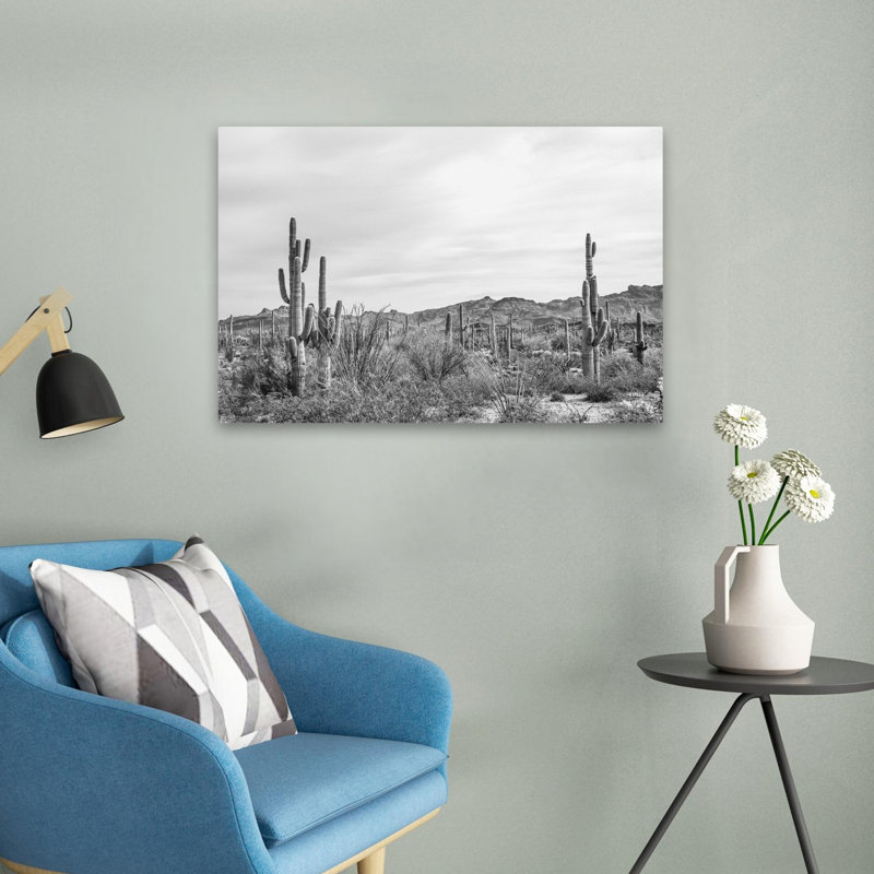 Jardin Sonoran Wonderland BW, H 24 po x l 16 po
