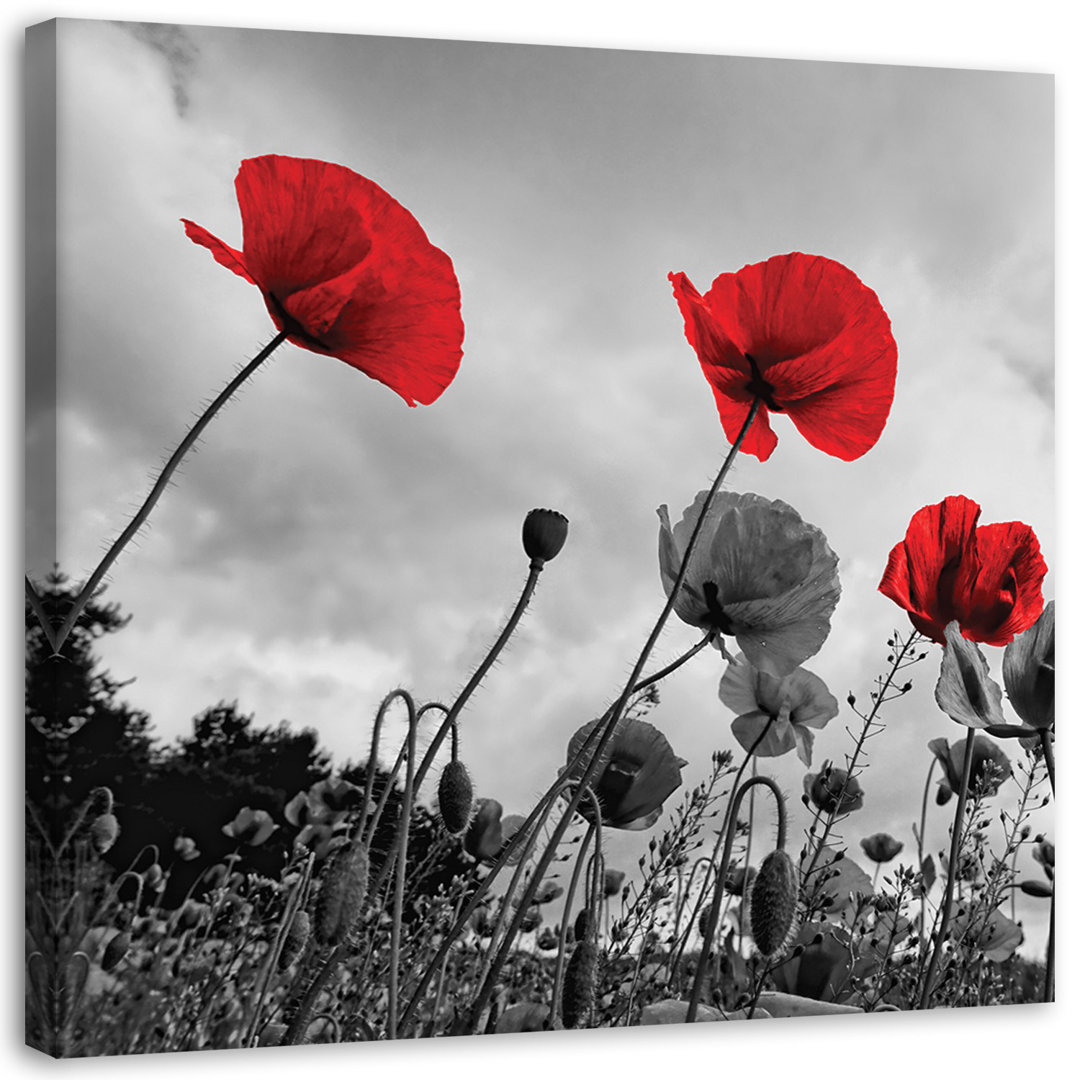 Leinwandbild Red Poppies Field Nature