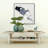 Amalfi Solid Wood Single Coffee Table