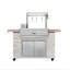 65" Infinity European Ledge Argentine Bbq Island Grill