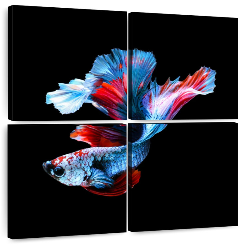 Brampt Elegant Betta Fish, 18" H x 18" W