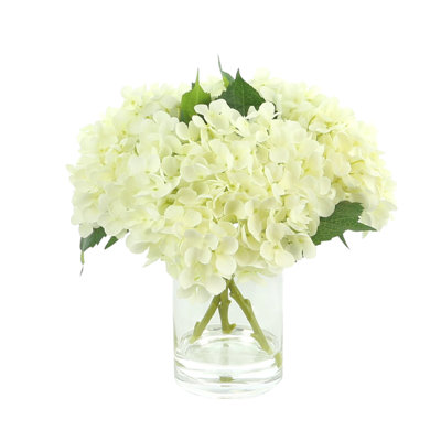 White Hydrangea in Glass Vase