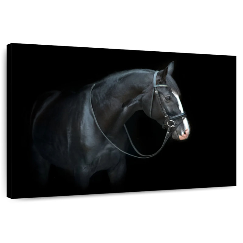 Brampt Thoroughbred Trakehner Horse, 32" H x 48" W