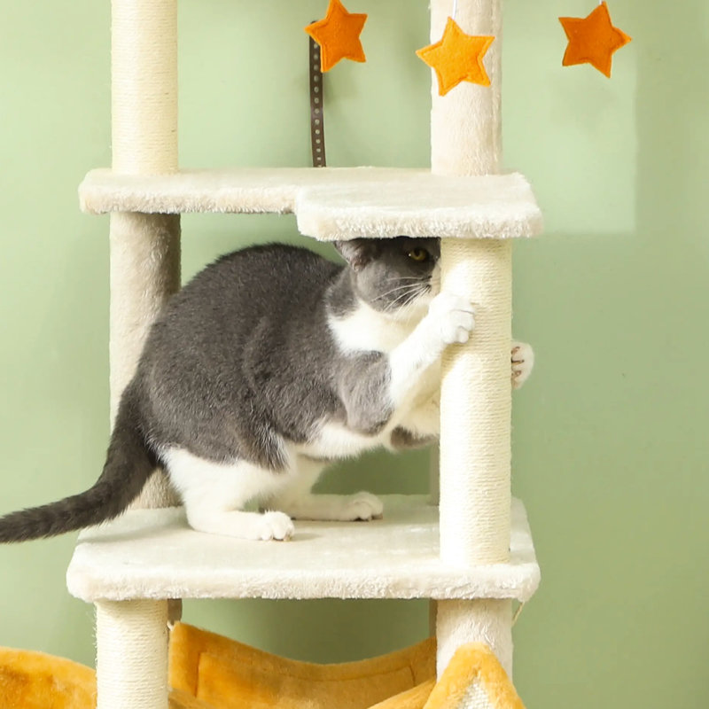 Arbre à chat 63 pouces en forme de lune et d'étoiles, lit, planche à gratter, confort, base solide, conception à embouts, pour 1 2 chats de moins de 11 lb avec thème, poteaux multiples, fabrication, convenable