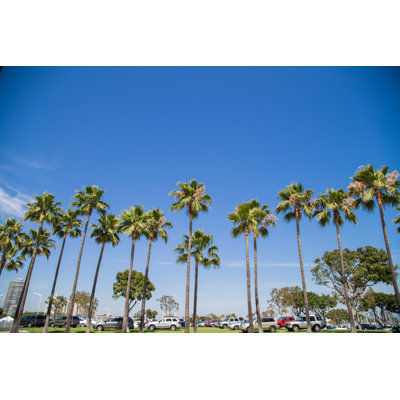 Palm Trees - Wrapped Canvas Print