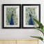 «Blue Peacock I», reproduction encadrée de qualité supérieure - prête à être accrochée-480692045-480692051