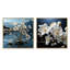 Blossuming Dogwood - Ensemble de 2 collages carrés Dogwood-1642735784-1642735790