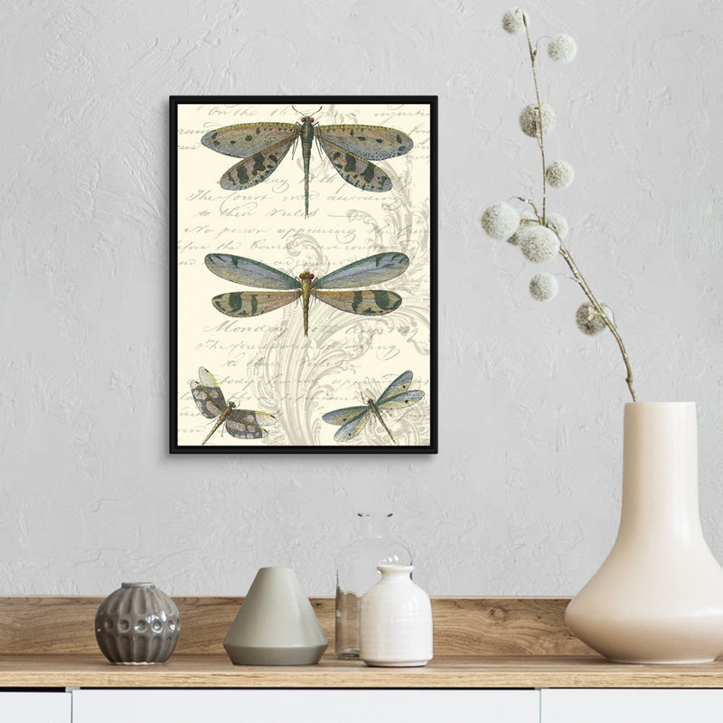 «Dragonfly Delight I» par Studio Vision - reproduction d'art sur toile, H 18 po x l 14 po x P 2 po, Toile avec cadre noir