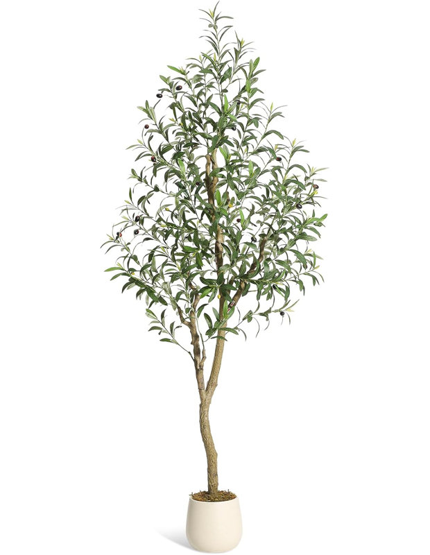 72cm Plant