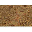 Tapis brun en laine noué à la main 9 pi 1 po x 12 pi 4 po Abagail Southwestern