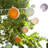 Rebeterano Outdoor String Lights- 20 Lights Kit-2123851026