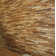 Matrix 12" x 48" Reclaimed Engineered Wood Wall Panelling in Brown