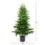 Sapin de Noël-972129110