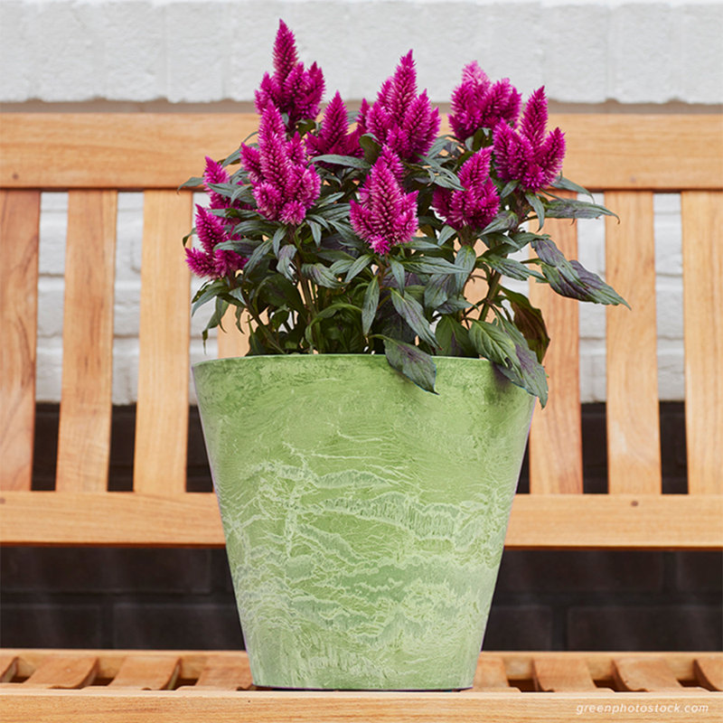 Carrero Pot Planter, Sage, 9.5" H x 10.5"  W x 10.5" D