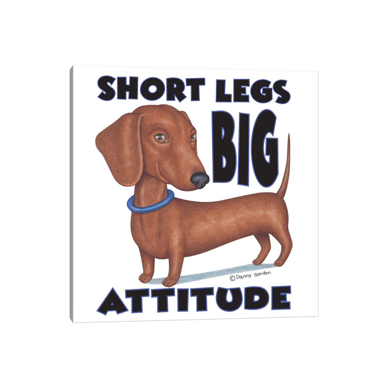 Dachshund With Blue Collar With Words by Danny Gordon - Wrapped Canvas Gallery-Wrapped Canvas Giclée, 26" H x 26" W