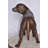 Beagle Dog Standing Made Of Bronze, Statue - Size: 27"L X 14"W X 21"H.