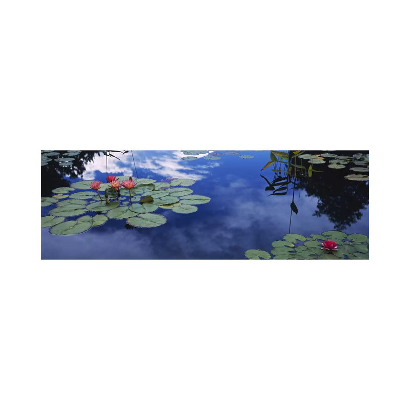 Water Lilies In A Pond, Denver Botanic Gardens, Denver - Wrapped Canvas Panoramic Print, 30.48 cm H x 91.44 cm W x 1.91 cm D