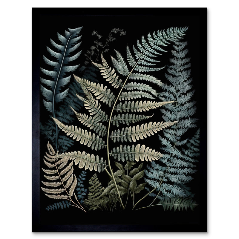 Fern Frond Species Detailed Botanical Illustration - Single Picture Frame Print