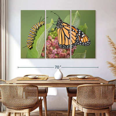 Milkweed Monarch And Caterpillar
