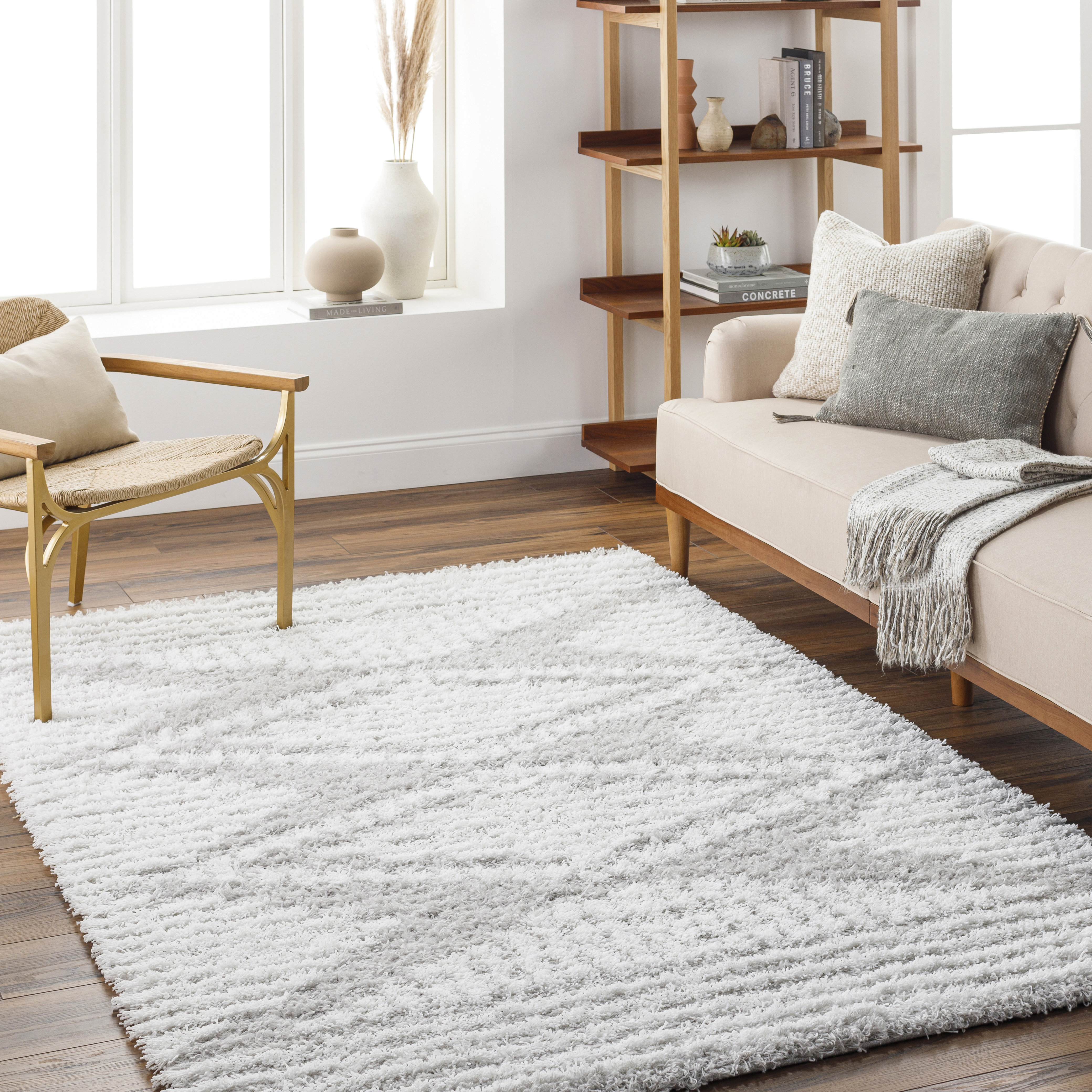 Langley Street Hemmer Chenille Rug & Reviews