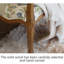 Banc de style campagnard américain en bois massif et tissu jacquard pour chambre et salon