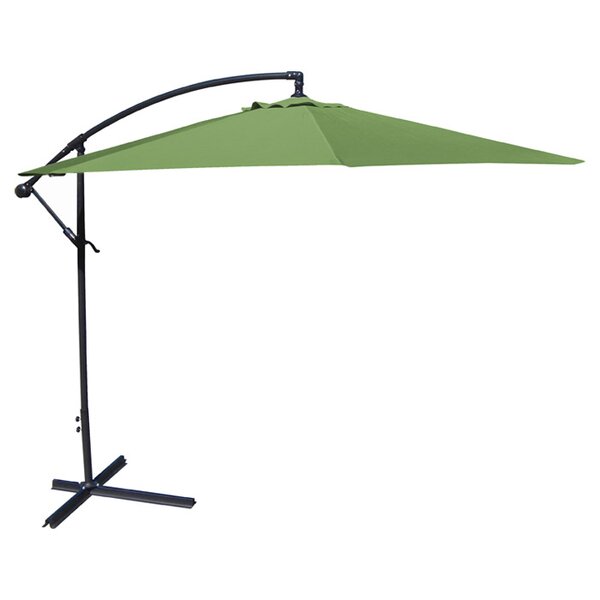 Brayden Studio® 120'' Cantilever Umbrella & Reviews 